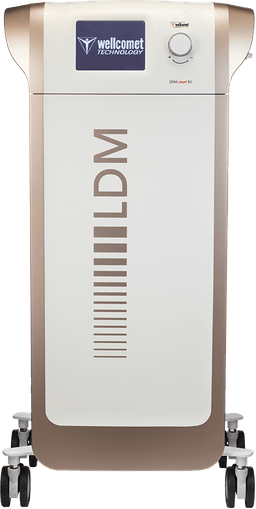엘디엠 (LDM)